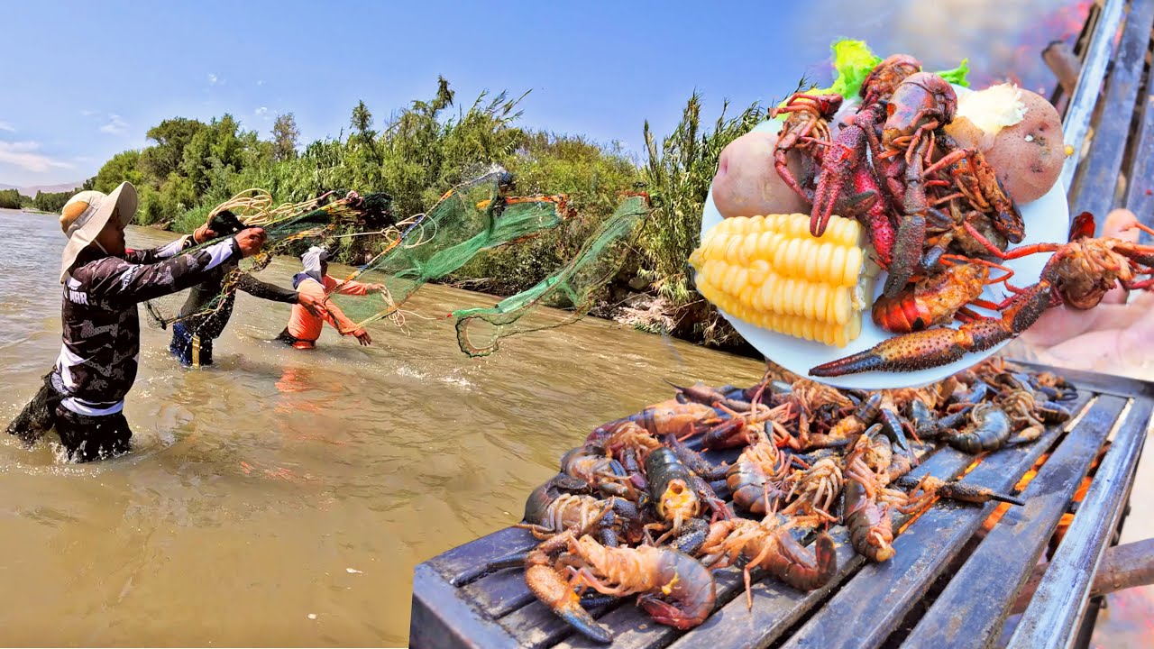 Vean como Atrapamos Estos Camarones Gigantes - Deliciosa PARRILLA a orillas del Río