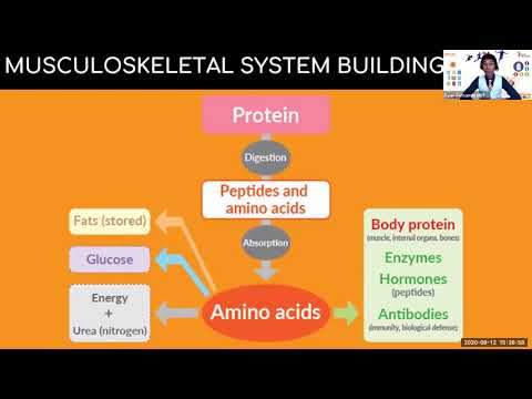 Musculoskeletal system building l Institute Nutrition