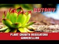 Plant Growth Regulators | Gibberellins | Section 7