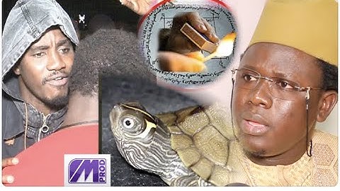 URGENT:SABOTAGE SOIREE WALY MYSTIQUEMENT,SERIGNE CISSE EN COLERE CLOT LE DEBAT"AYE NAFEKH SERIGNE LA