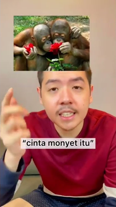 TERUNGKAP 😳 KENAPA DISEBUT CINTA MONYET 😱