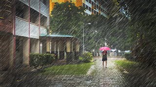 ABANDONED GHOST TOWN IN SINGAPORE : 1 HOUR+ HEAVY RAIN WALKING TOUR : HDB ESTATE TANGLIN HALT GREEN by Ambient Walking 2,152 views 8 months ago 1 hour, 29 minutes