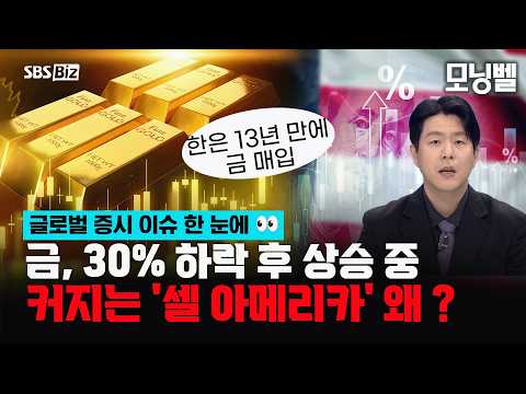 꿈틀거리는 금값…랠리 신호탄? '셀 아메키라' 트레이드 고개드는 이유는? #뉴욕증시 #금값 #샌디스크 #빅테크 #금투자 #미국주식 #투자전략