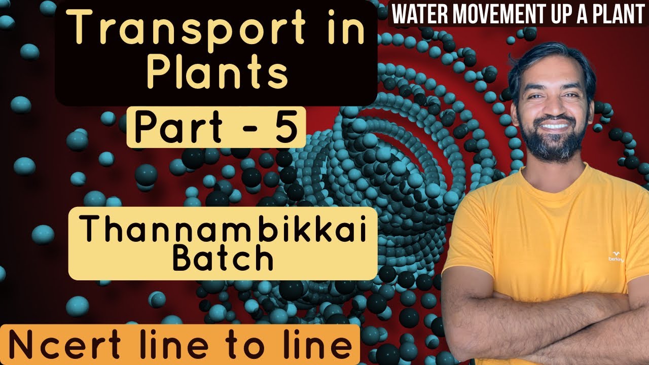 Transport in Plants | Part 5 | Thannambikkai Batch | NCERT LINE TO LINE ...