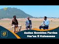 Aadaa Gombisa Fardaa Har’aa fi Kaleessaa