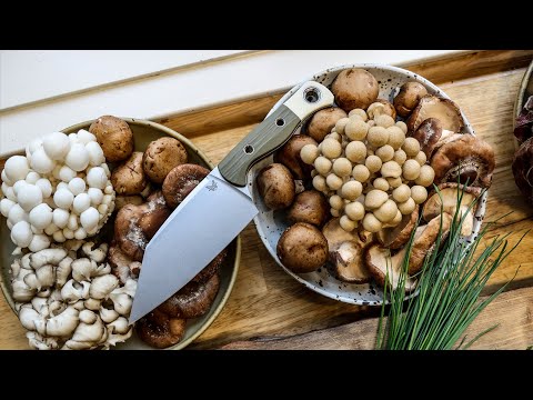 Benchmade Kitchen Knife Review  The Perfect Gift for Foodies