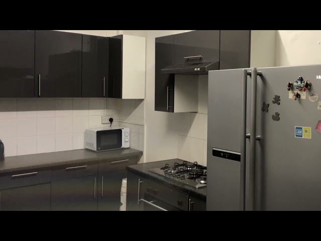 Video 1: