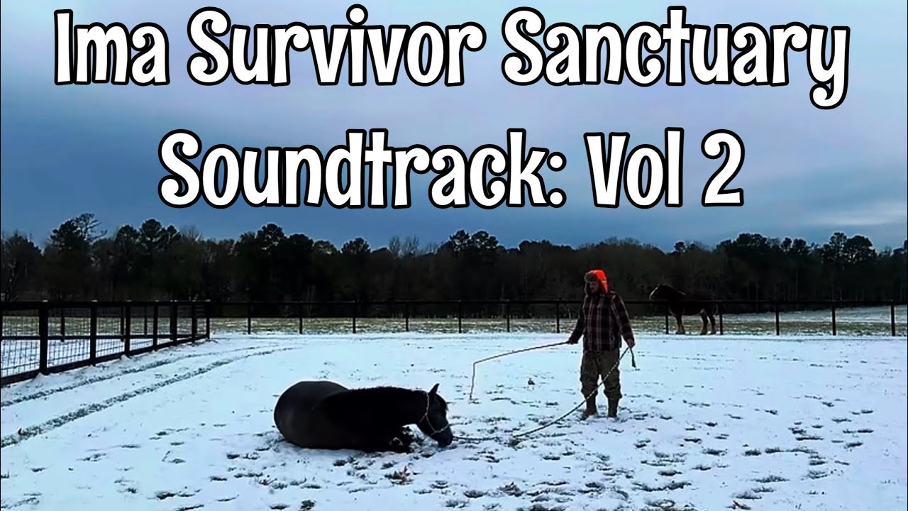 Ima Survivor Sanctuary Soundtrack:  volume 2