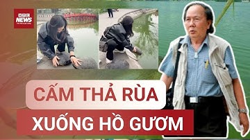 Chuyên gia Rùa học: Rùa cạn không thể thành cụ Rùa| VTC News