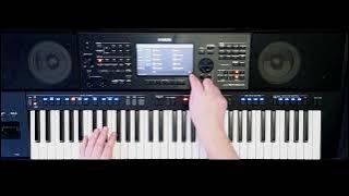 Yamaha SX900 - a real arranger keyboard that you won't get bored with