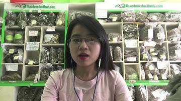 MUA CÂY AN XOA Ở ĐÂU TẠI Tphcm? 0904.079.719