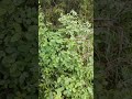 Сезон не за горами!