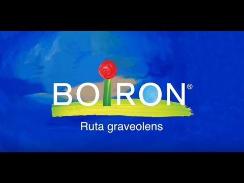 Vídeo: Ruta graveolens funciona?