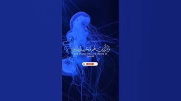 رقران قران كريم بصوت جميل جدا جدا #قرآن #اكسبلور #المصحف #قرآن_كريم #راحة_نفسية