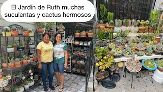 VIAJÓ PARA CONOCER A RUTH Y SU JARDÍN DE CACTUS ESPECTACULAR