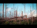Searching for Survival - Hurricane Dorian Environment Documentary