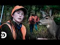 Hermanos Brown y sus hábitos de cacería | Alaska: Hombres Primitivos | Discovery Latinoamérica