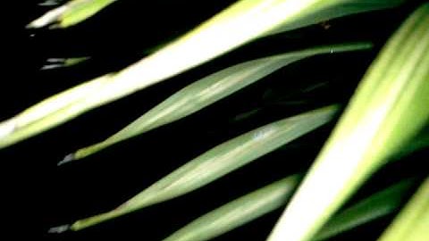 March 25, 2011 8:08 PM