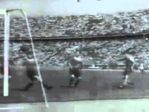 rapid wien meister rapid wien meister
