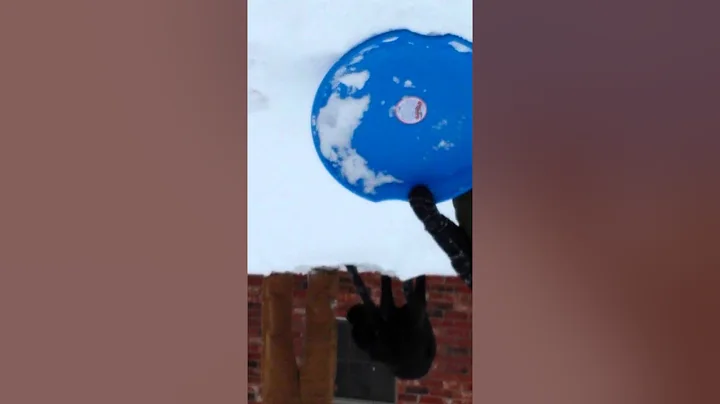 Commie sledding