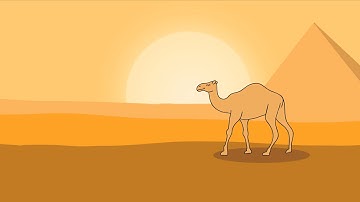 Camel Walk Cycle