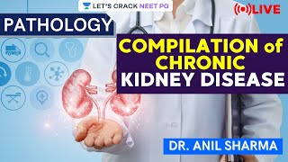 Compilation of Chronic Kidney Disease | NEET PG 2021 | Dr. Anil Sharma screenshot 5