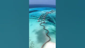 Bora bora Island View ❤️😊 #shorts #trending #viral 💜