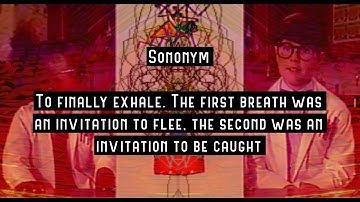 Paper Tiger Balm (For Laika) || Music Video