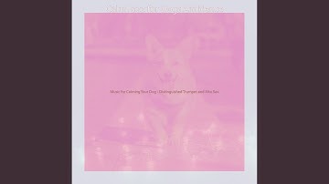 Remarkable Backdrops for Resting Doggies