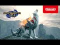 Monster hunter rise  okami collab  nintendo switch