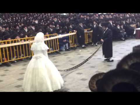 מצוה טאנץ בעלז תשע ג Mitzva Tanz Belz 