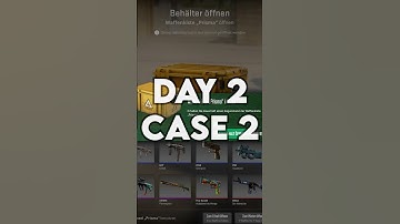 Opening Prisma Cases Till I Get A Talon Knife | Day 2