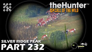 Další DIA na mušce - #232 | The Hunter: Call of the wild CZ | Lets play | Česky