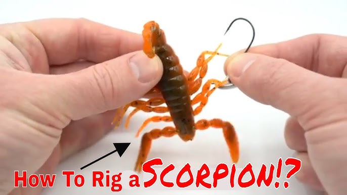 Can a SCORPION BAIT catch BASS? Fresh Baitz Scorpion Soft Plastic Bait 