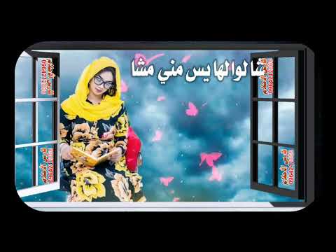 حالة واتس الفنان أحمد يوسف تمام طالبة بتقرا المدرسة بتقرا طب وهندسة