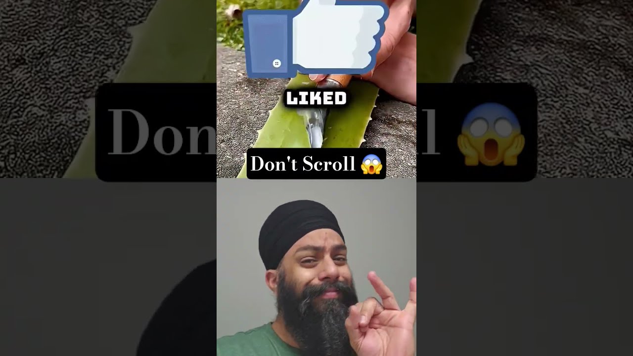 Scroll If You DO NOT Have Good Manners Put A FingerDown Shorts Fingerdown