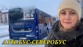 Норильск/ Почему пешком⁉️Февраль -15.