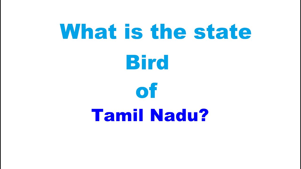 What  is the state Bird of  Tamil Nadu?