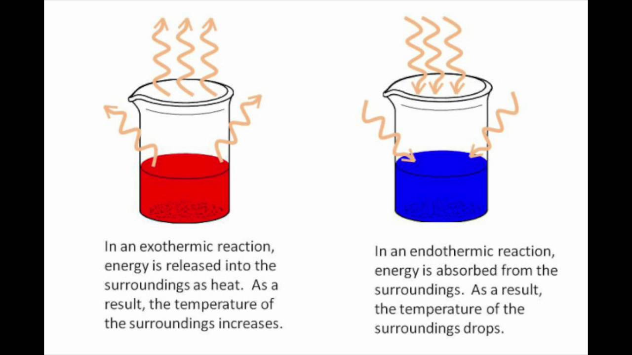 Endothermic vs Exothermic Reactions - YouTube