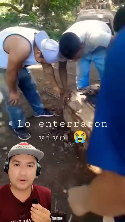 gran sorpresa 😱