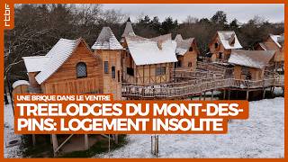 Les Treelodges Du Mont-Des-Pins Un Logement Insolite À Durbuy Une Brique Dans Le Ventre