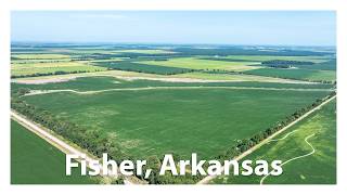 Row Crop Farm for Sale | Off Hwy 214 Fisher, AR 72429 Listed at $885,000