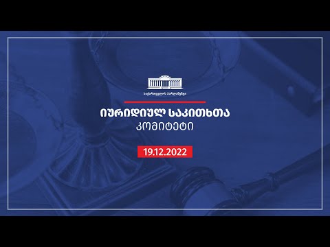 იურიდიულ საკითხთა კომიტეტის სხდომა (ნაწილი II) - 19.12.2022