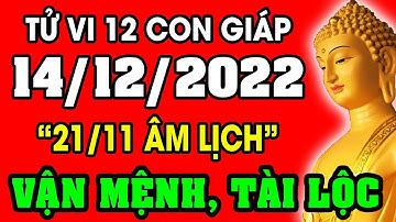 Tử vi hàng ngày 12 con giáp ngày 14/12/2022: Vận Mệnh, Tài Lộc, Sự Nghiệp, Tình Duyên, Sức Khỏe