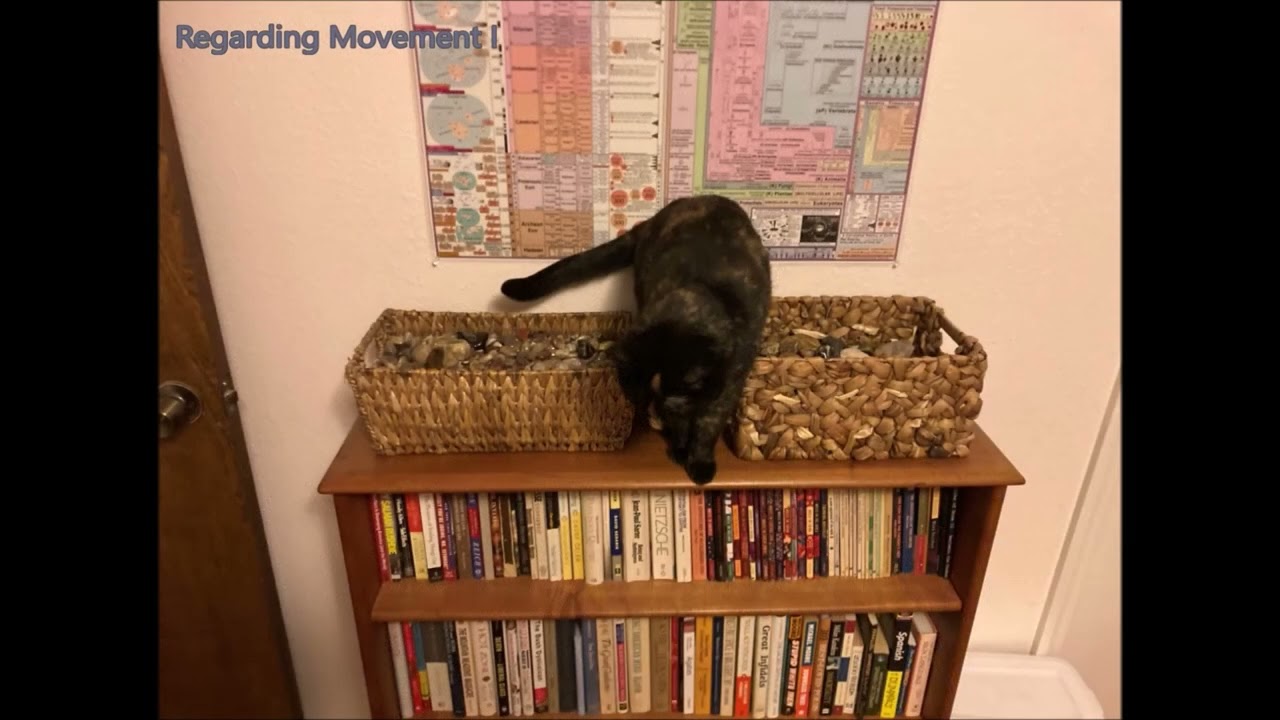 A Guided Tour of Franz Schubert's Final String Quartet, D. 887 (corrected edition)