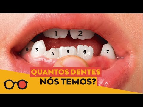 Vídeo: Quantos Dentes Os Adultos Têm: Em Cima, Embaixo E Bebês