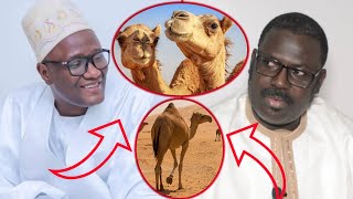 Guilem léppam ndiarigne la dégloul El Hadji Malik Gueye ak Serigne Abdou Samad Mbacke Souhaibou