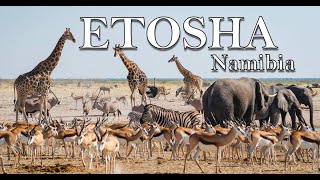 4K African Wildlife Documentary - Etosha National Park, Travel Namibia, Africa