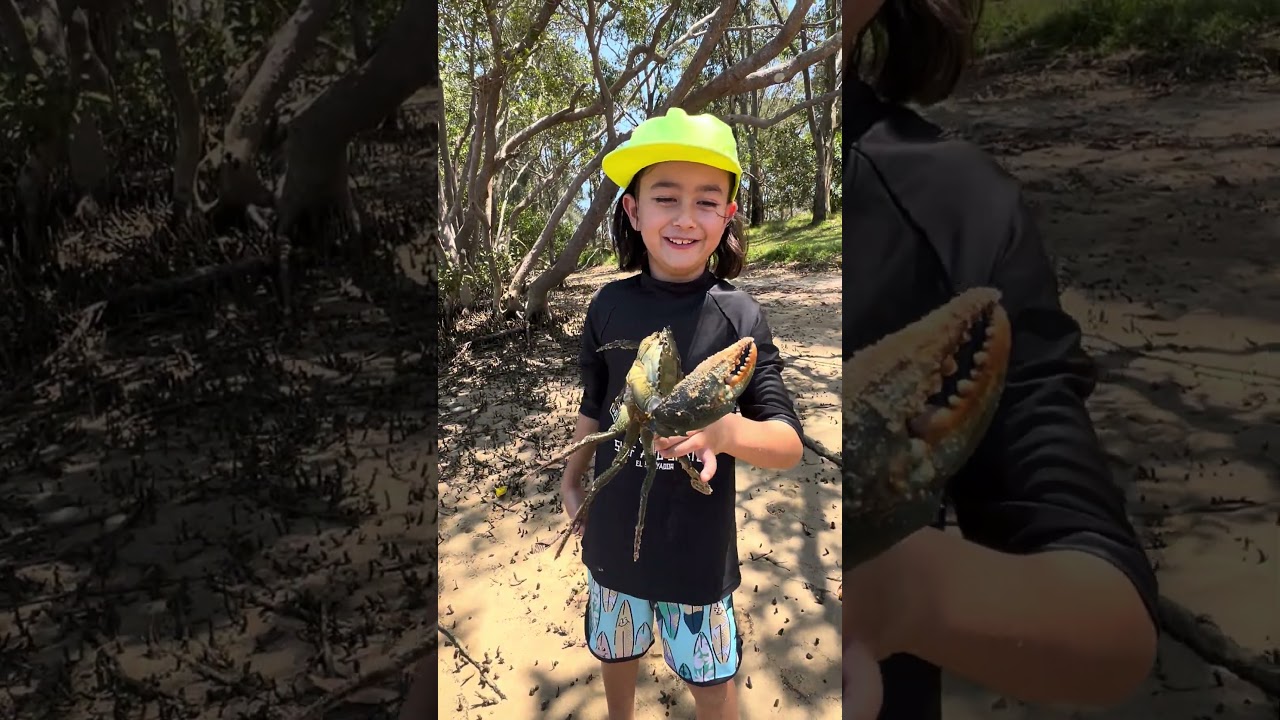 Catching A Blue Swimmer Crab! #bigcrab #blueswimmercrab