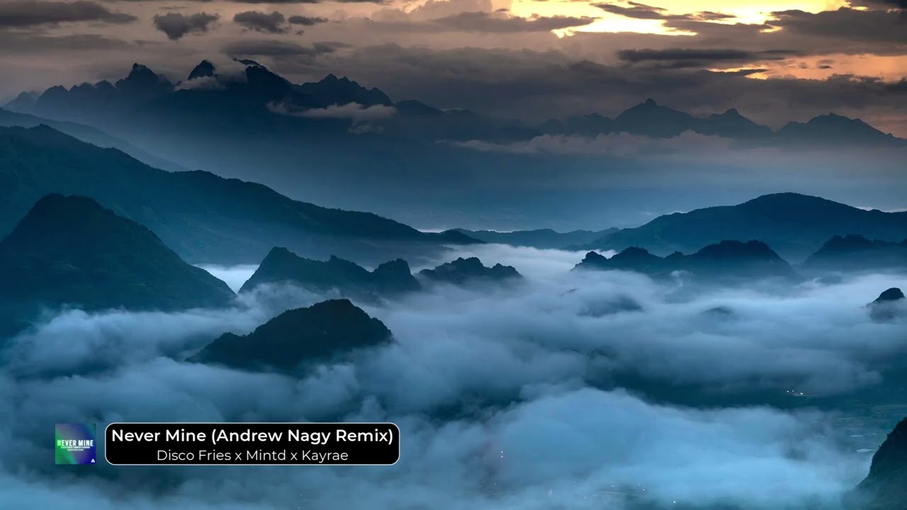 Disco Fries x Mintd x Kayrae - Never Mine (Andrew Nagy Remix)